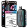 Oxbar Rocky Vapor G 42K Puffs - Peach Blue Raspberry